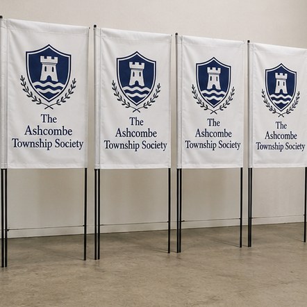 Customized political flags for ballot measures and coalitions